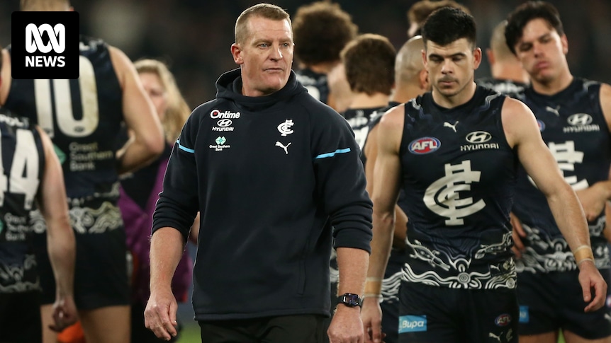 Carlton to seek ‘clarity’ from AFL over free-kick count as Damien Hardwick also criticises umpiring