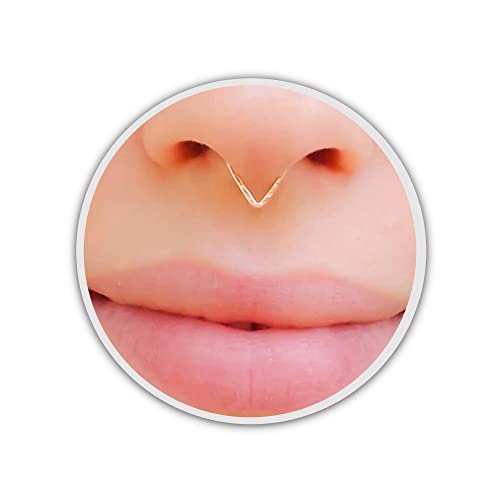 Rose Gold Septum Ring Triangle Shaped 18g Hammered Nose Piercing Earring