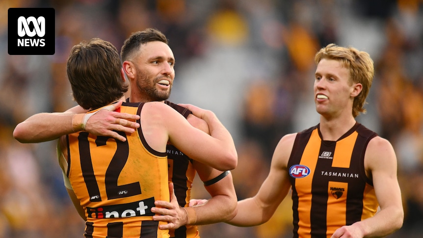 AFL Round 13 Hawthorn vs GWS Giants, West Coast vs North Melbourne, St Kilda vs Gold Coast live updates — blog, scores and stats