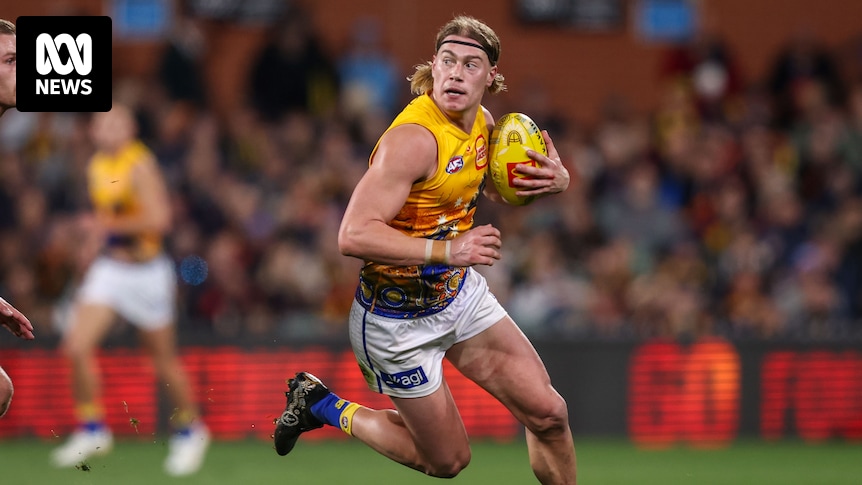 West Coast Harley Reid’s two-game suspension upheld at AFL tribunal