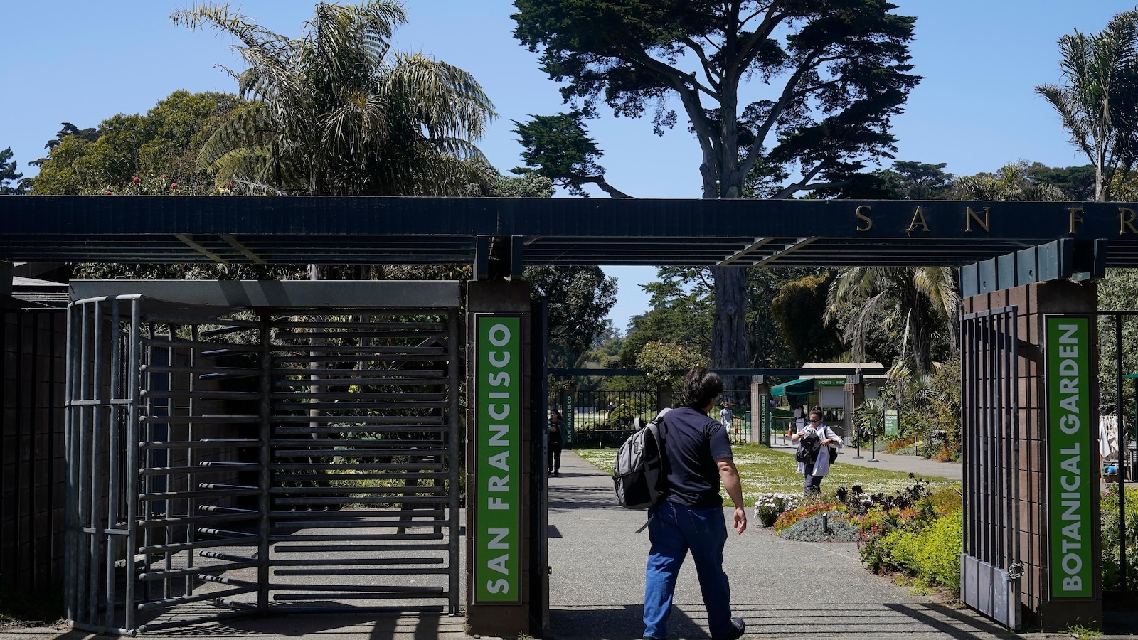 Officers kill 3 coyotes at San Francisco Botanical Garden after attack on 5-year-old girl