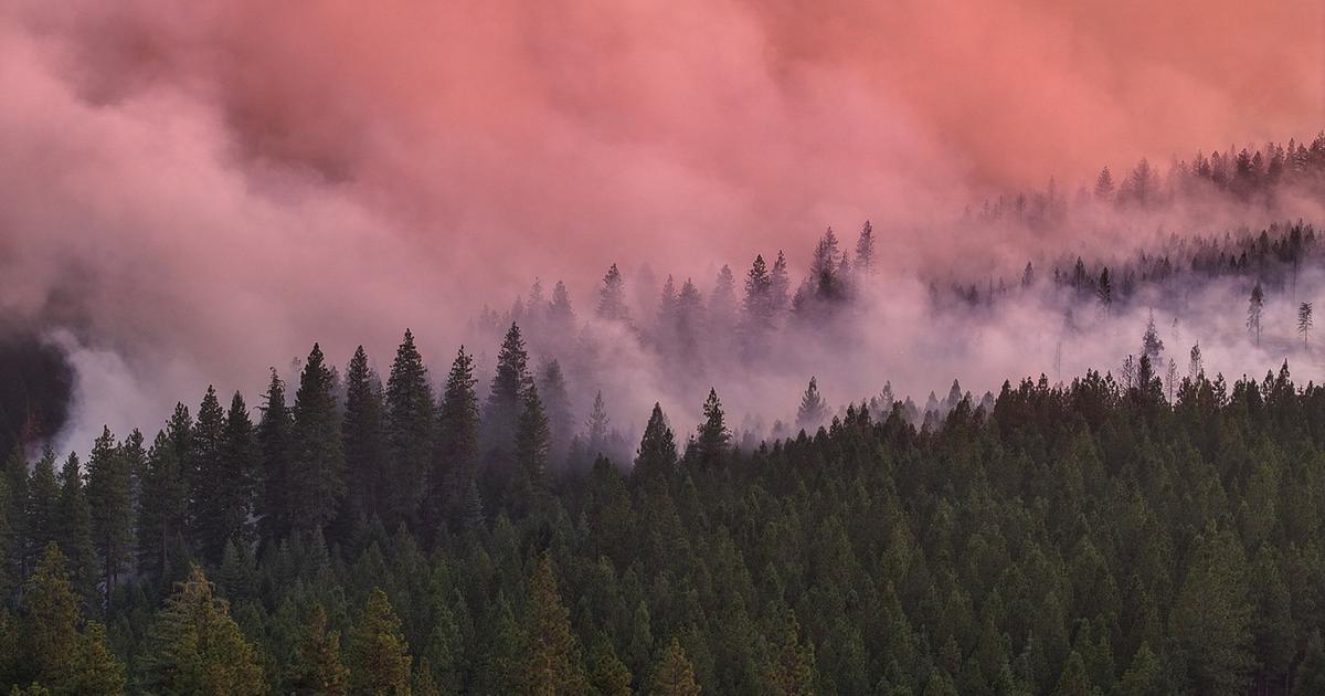 Park Fire grows to 4th largest wildfire in California history